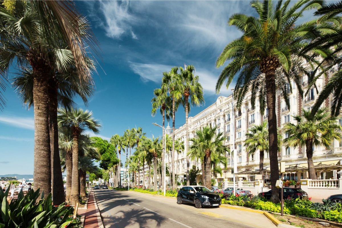 boulevard-de-la-croisette-cannes
